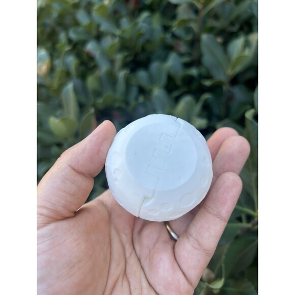 3D Printed Fossil Flexi Rex Egg. Fidget Toy. - Picture 5 of 9